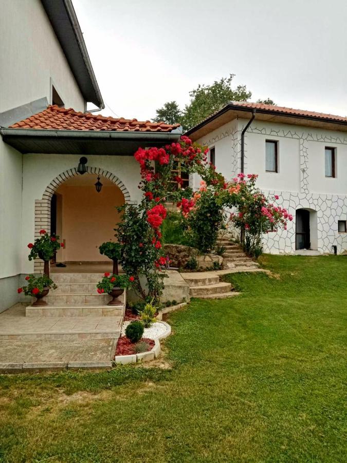 Domacinstvo Sindelic Hotel Ivanjica Kültér fotó