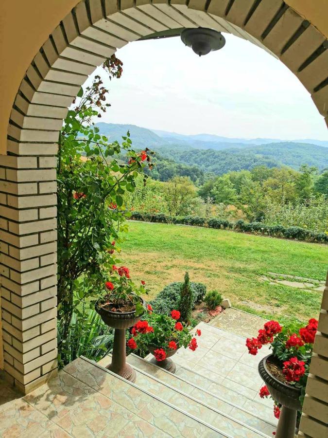 Domacinstvo Sindelic Hotel Ivanjica Kültér fotó