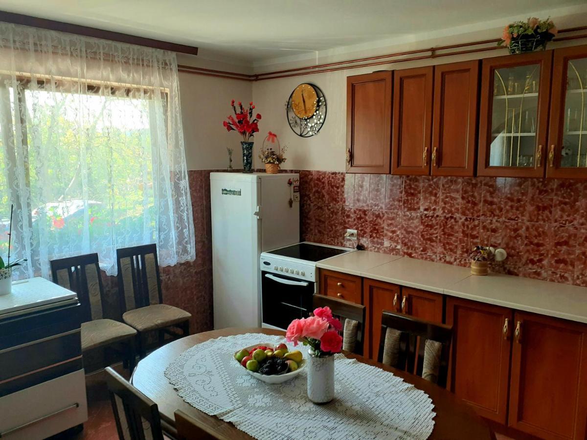 Domacinstvo Sindelic Hotel Ivanjica Kültér fotó