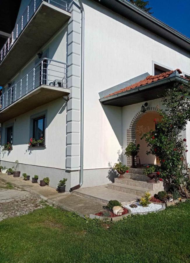 Domacinstvo Sindelic Hotel Ivanjica Kültér fotó